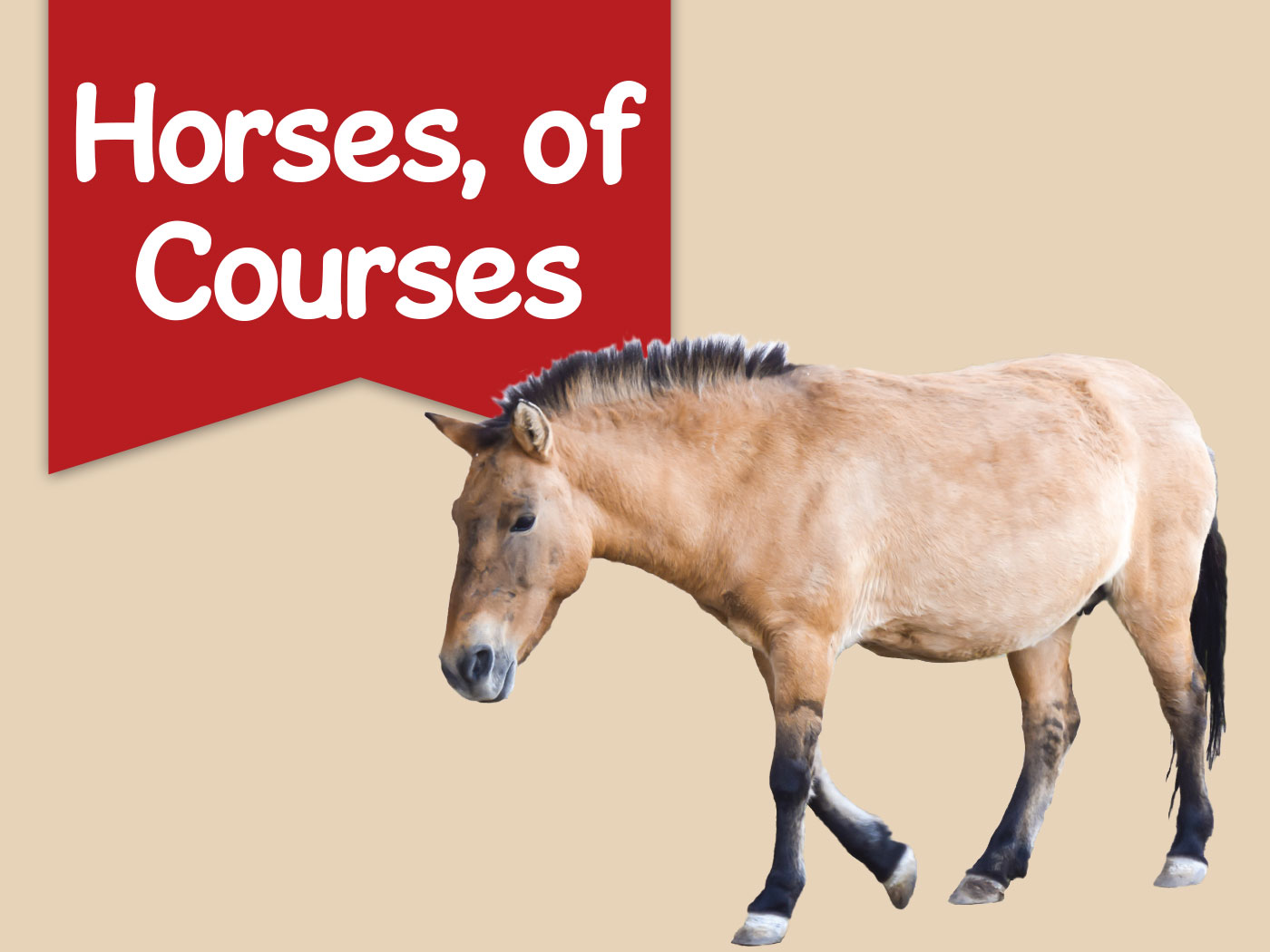 kids-edition-2022-horses-of-courses-the-institute-for-creation-research